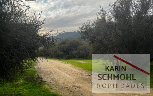 PARCELA FUNDO OJOS BUENOS OLMUÉ